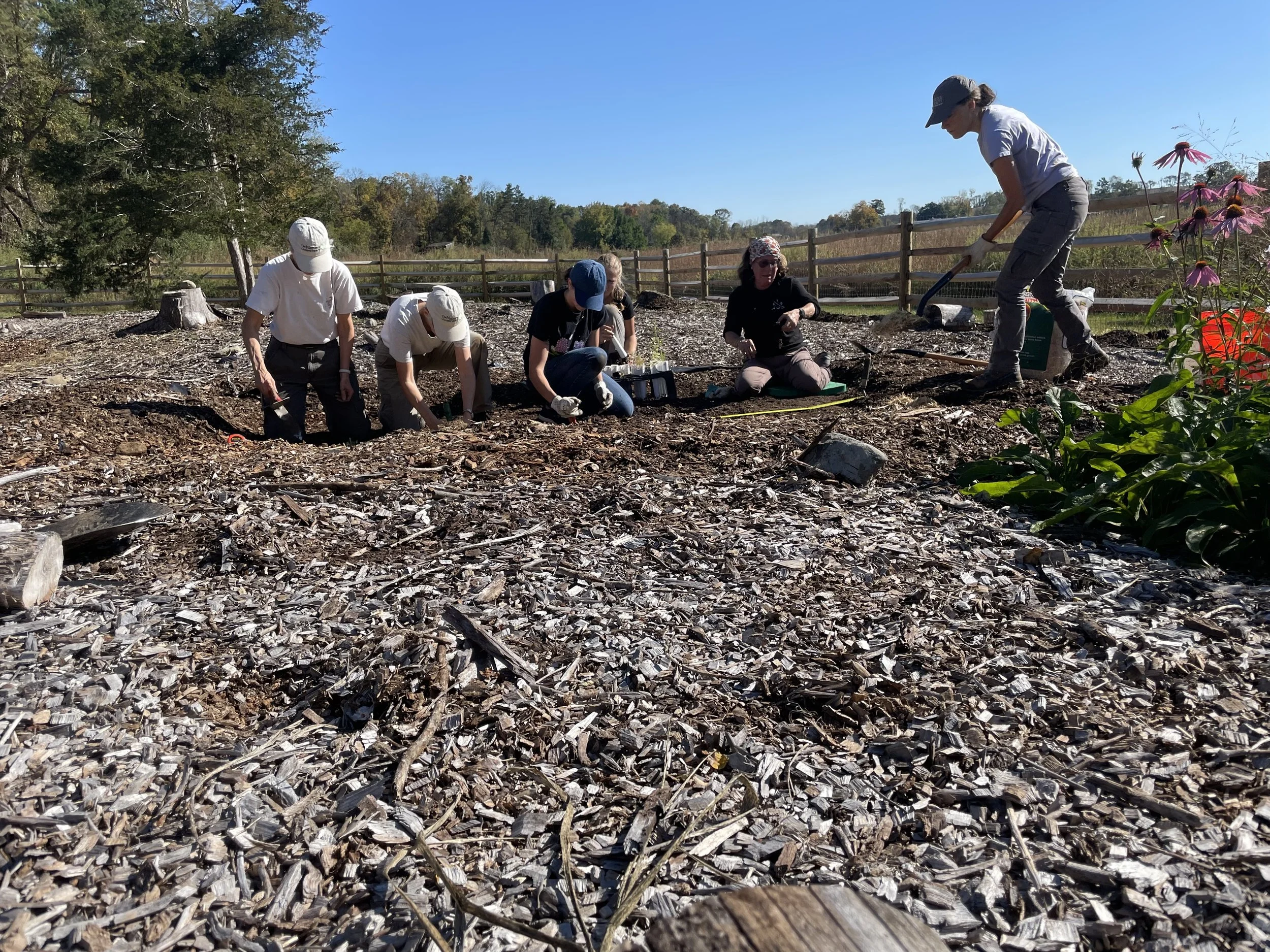 dark moon volunteers planting.jpg
