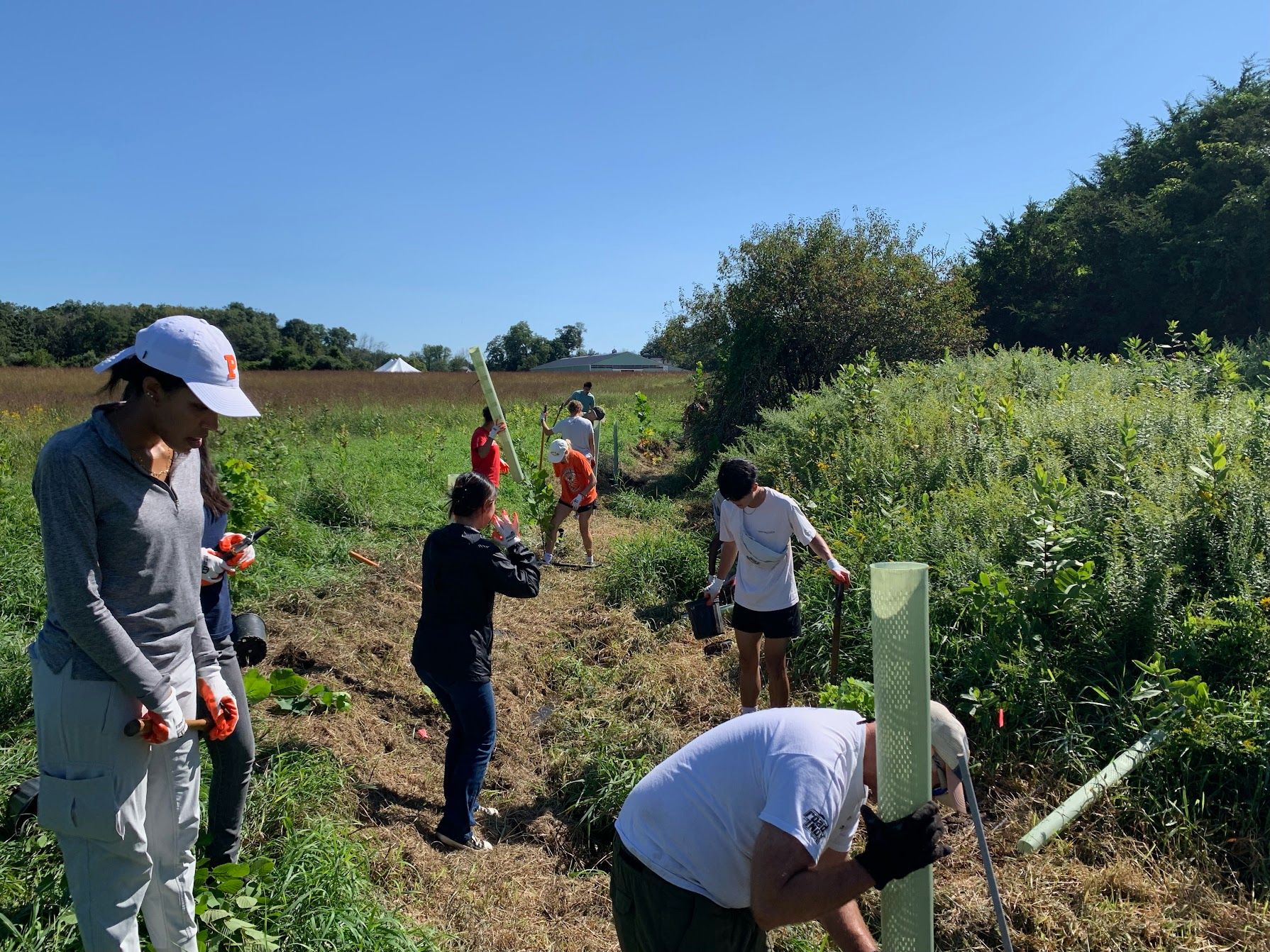 princeton volunteer day dark moon group.png