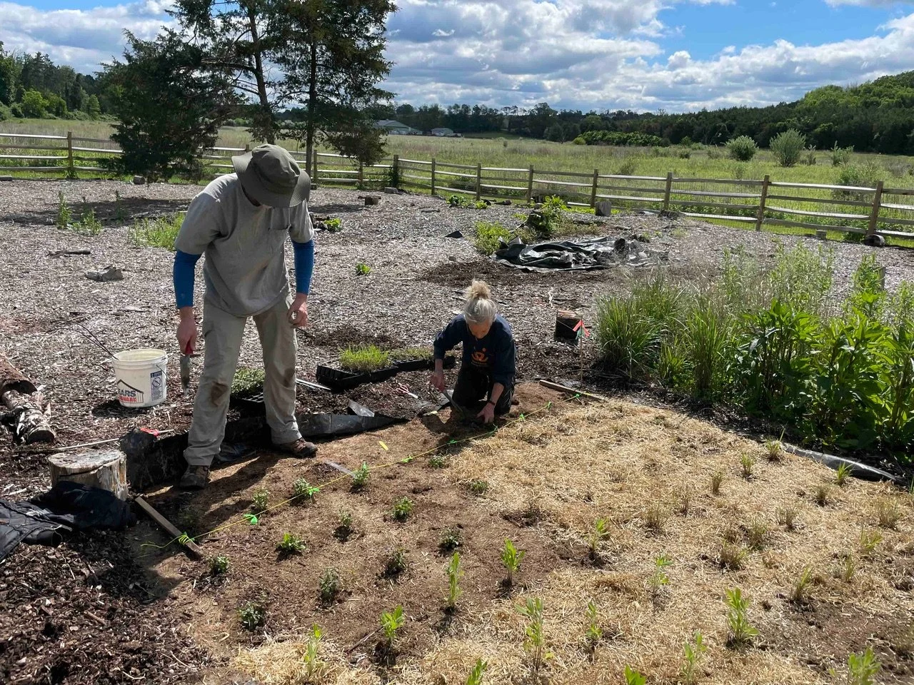 Dennis and Michelle DKM (1).jpeg