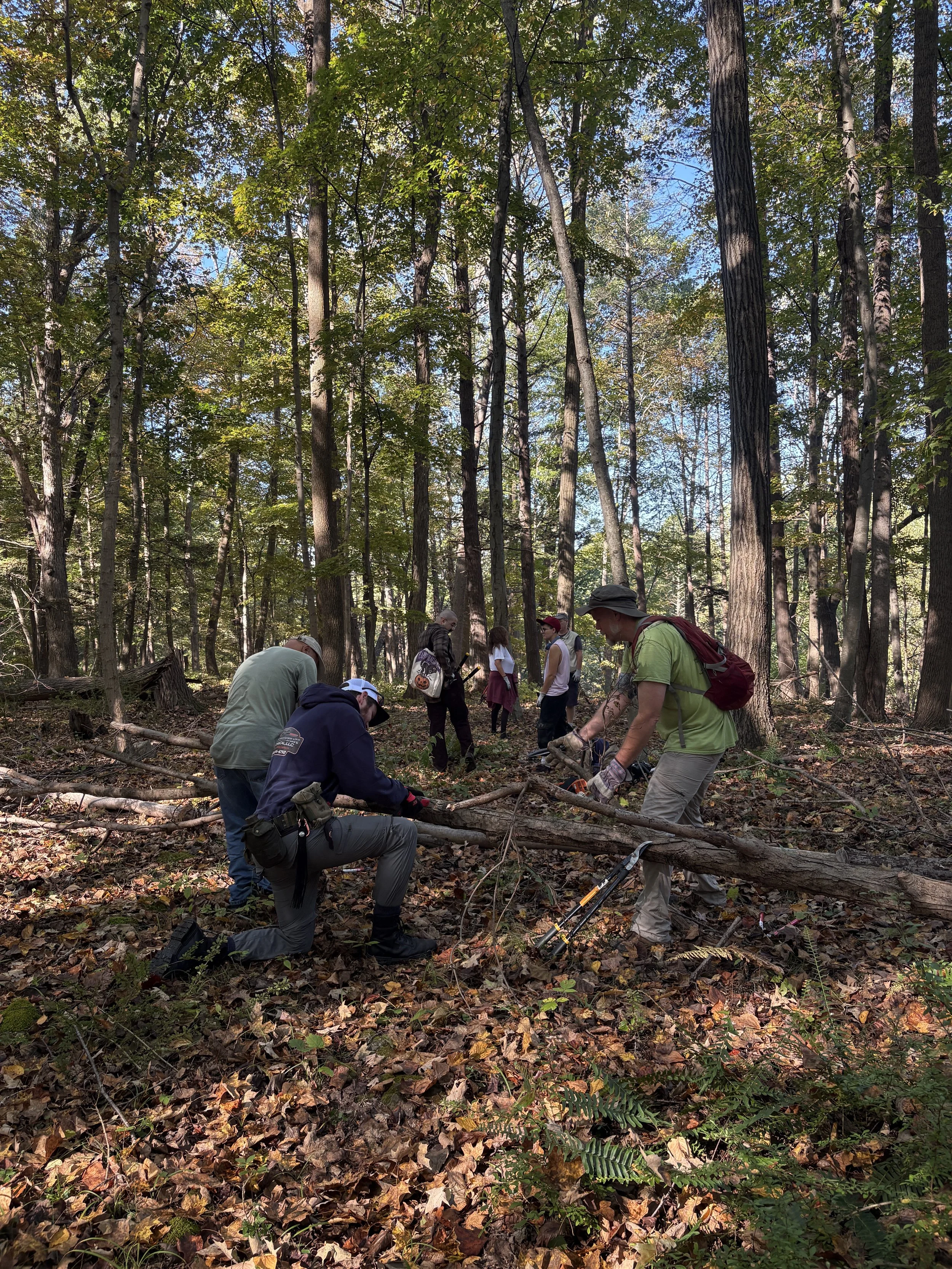 OVD Limestone Ridge 3.jpeg