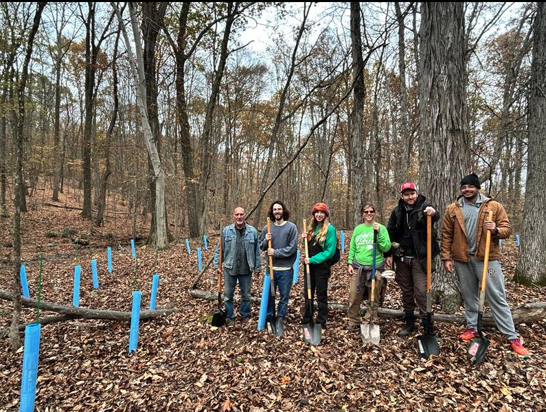 Open Volunteer Day  - Tree Planting