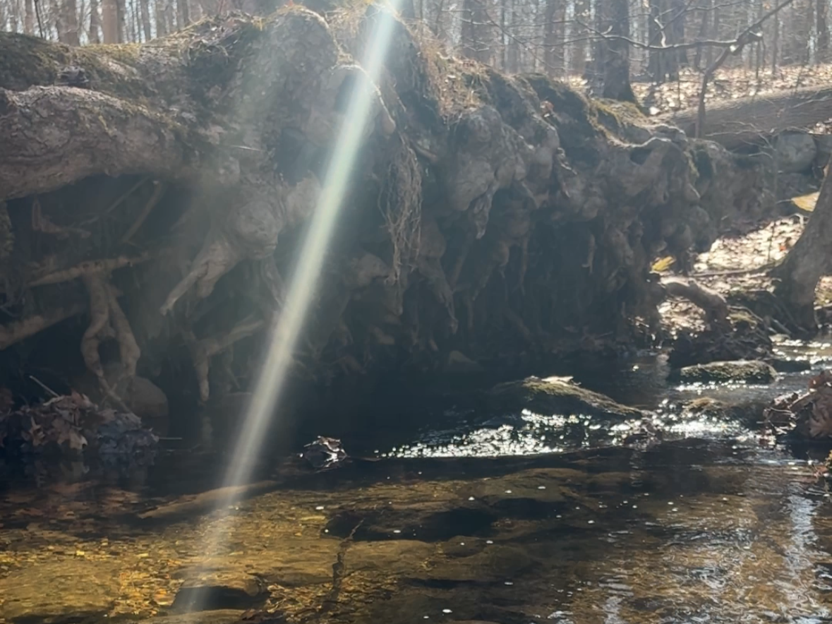 RVC and NJWAP Stream Study