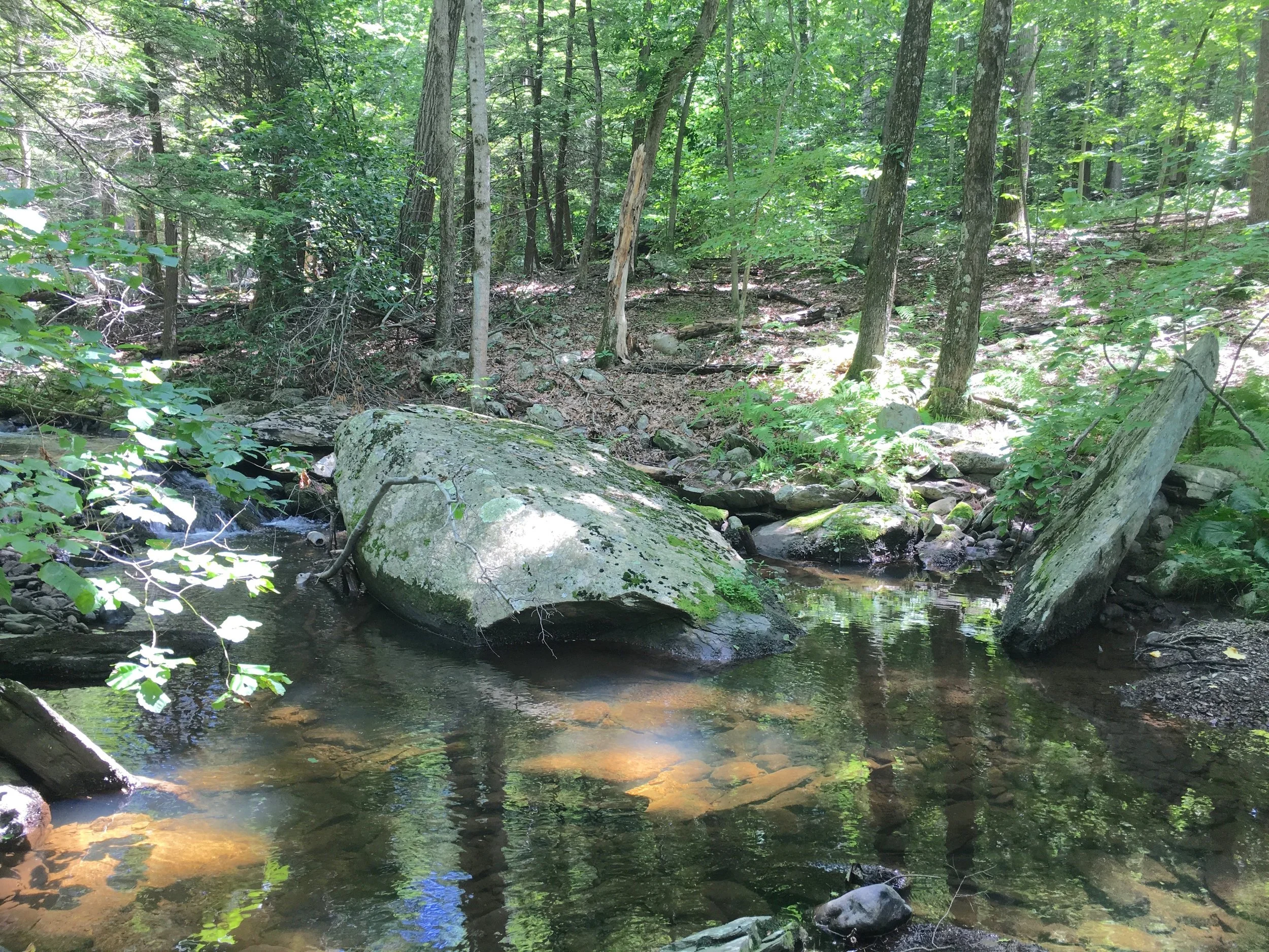 Birch Ridge Ravine Hike