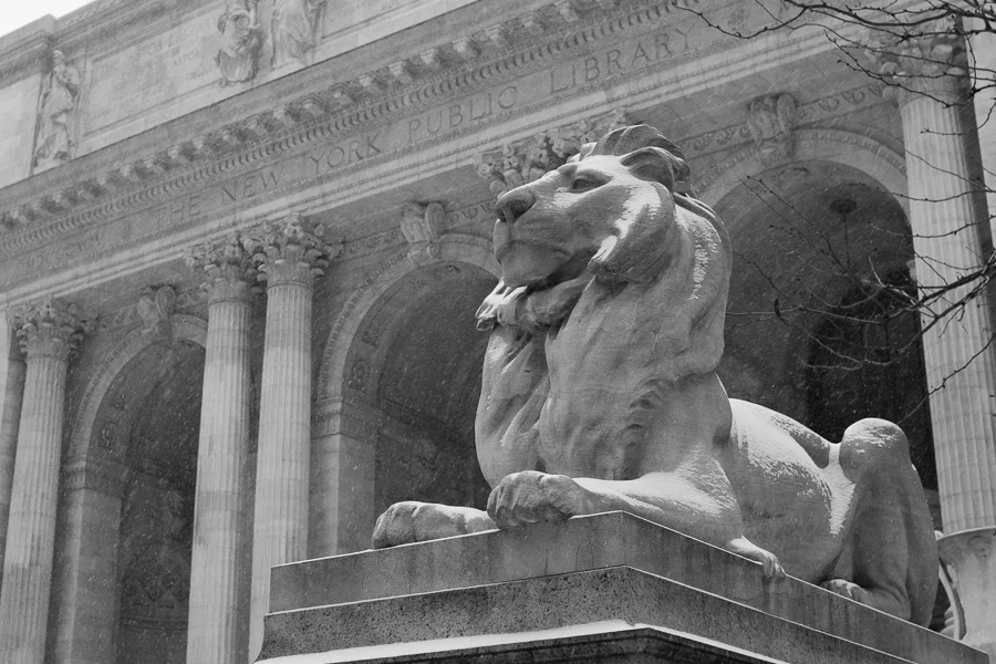 11-new-york-public-library-lion.jpg
