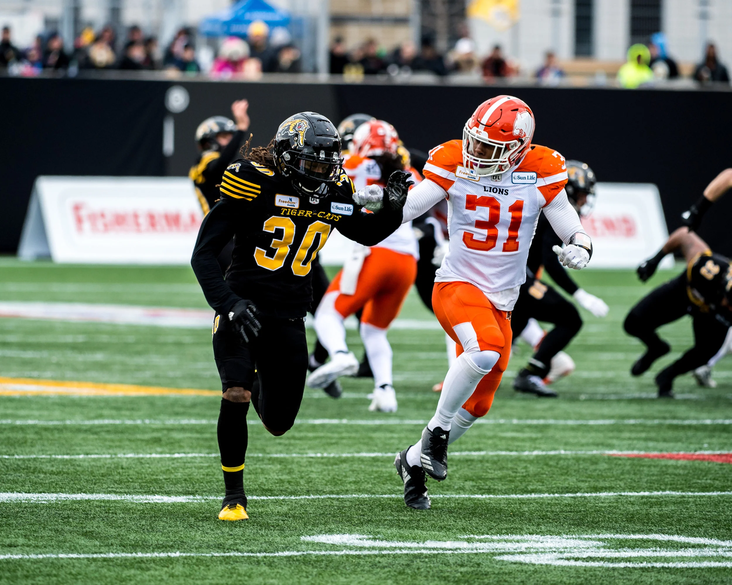 11819CFL026A.jpg