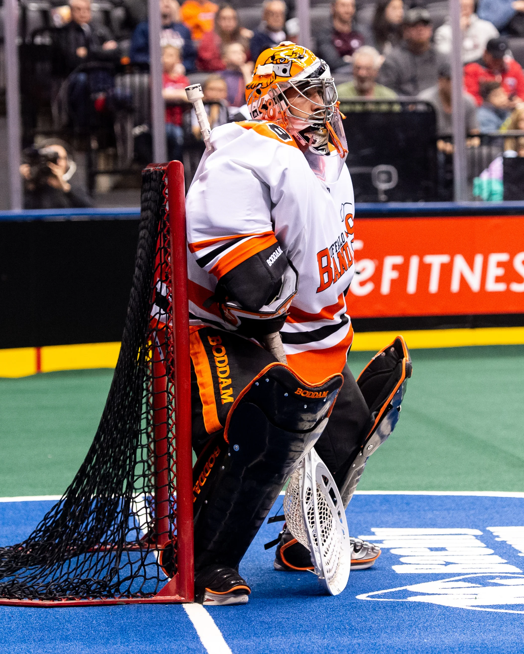 1819008P1_146_Buffalo_Bandits.jpg