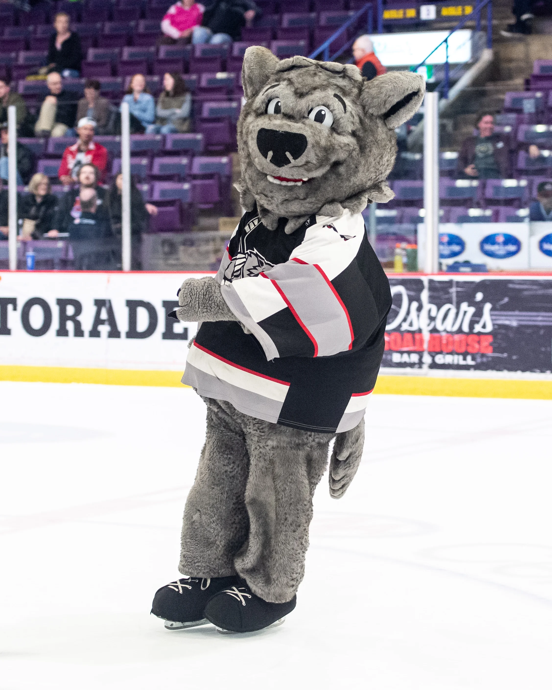 1819-ECHL-BBNG-815.jpg