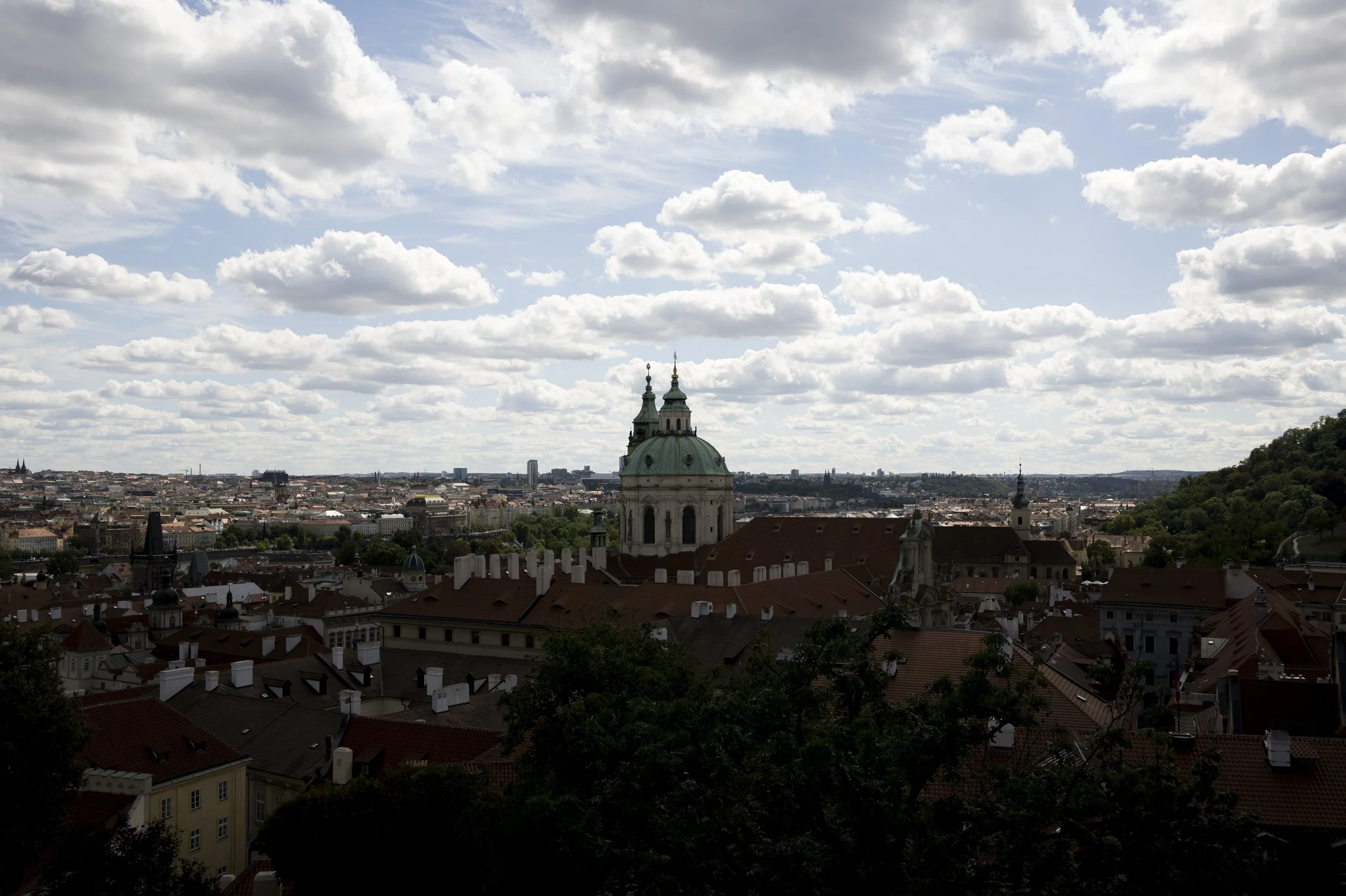 DSC_3341.jpg