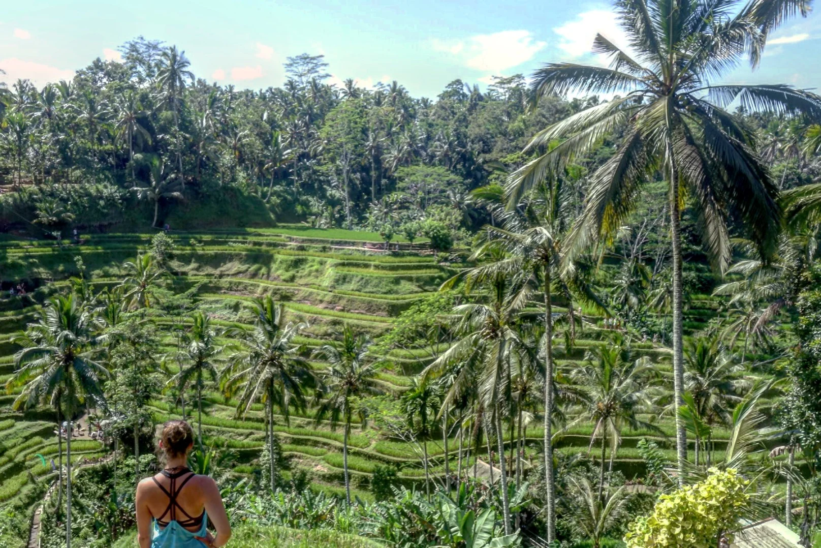 When I finally plucked up the courage to drive a scooter by myself and I got to see this...