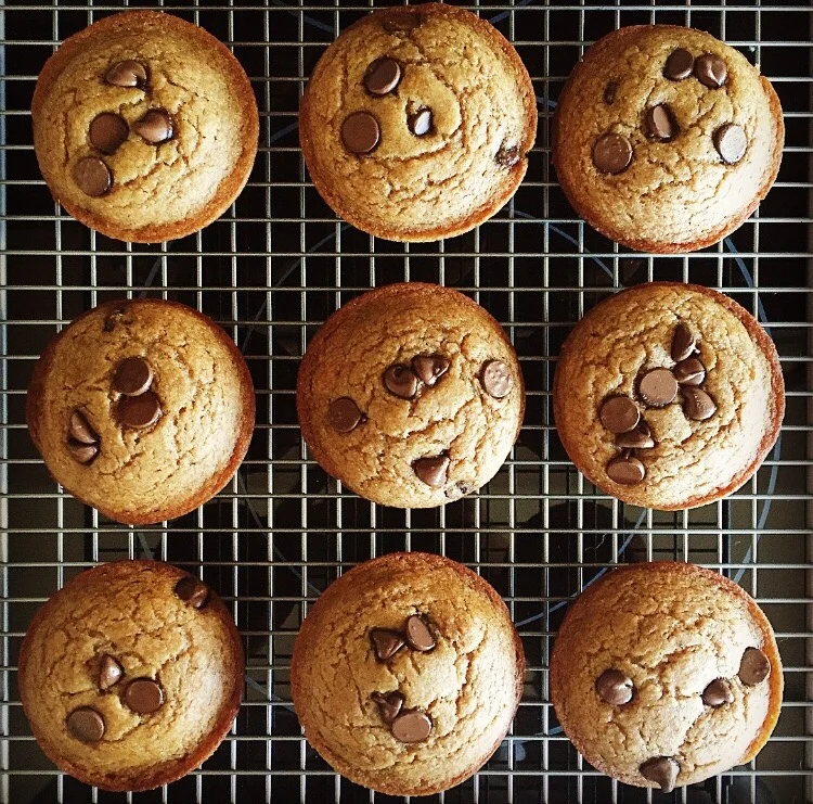 Banana Chocolate Chip Muffins