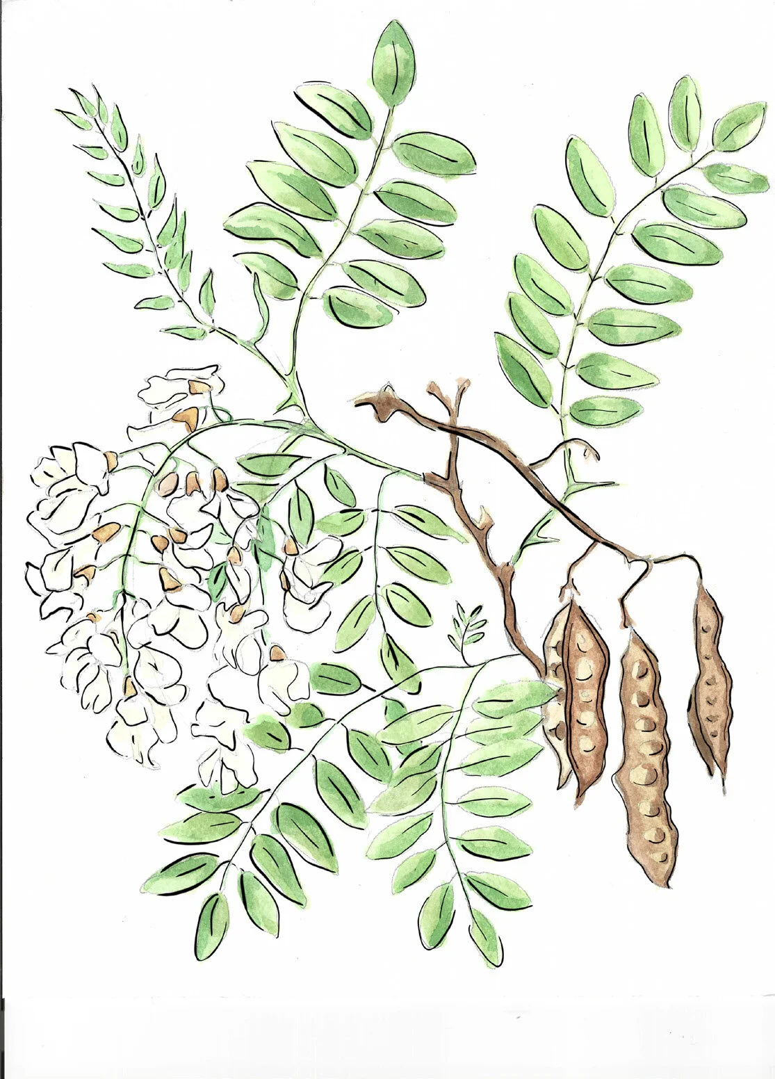 Illustration examples_Page_4_Image_0001.jpg