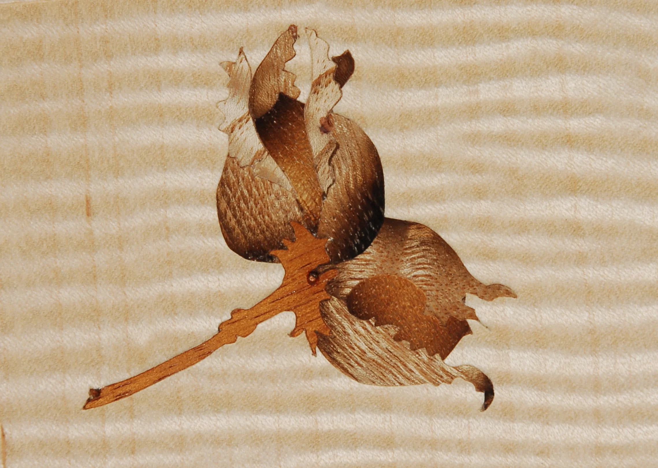 Hazelnut