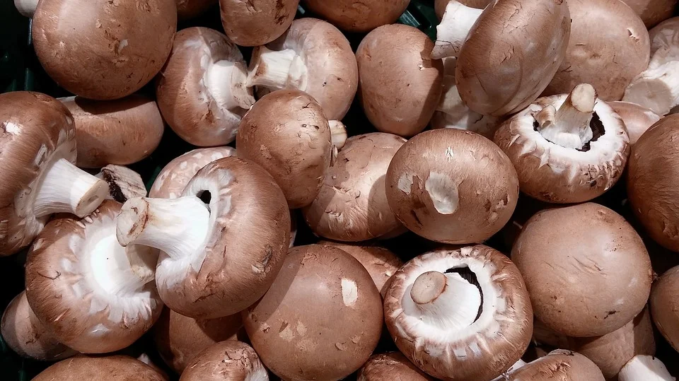 Fitz Fresh mushrooms for everyone