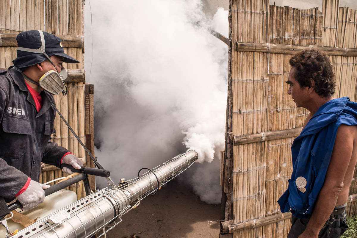 What a warming planet means for mosquito-borne diseases