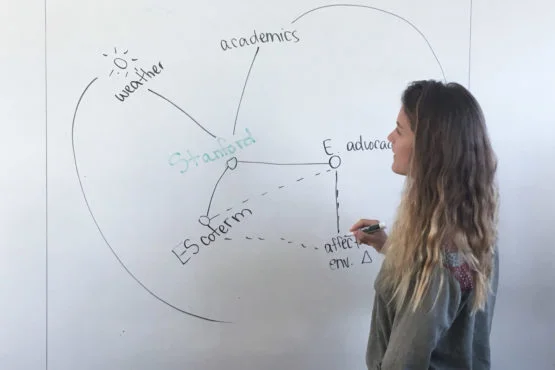Mastering the art of environmental and policy engagement