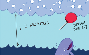 Lollipop-shaped ice found in clouds