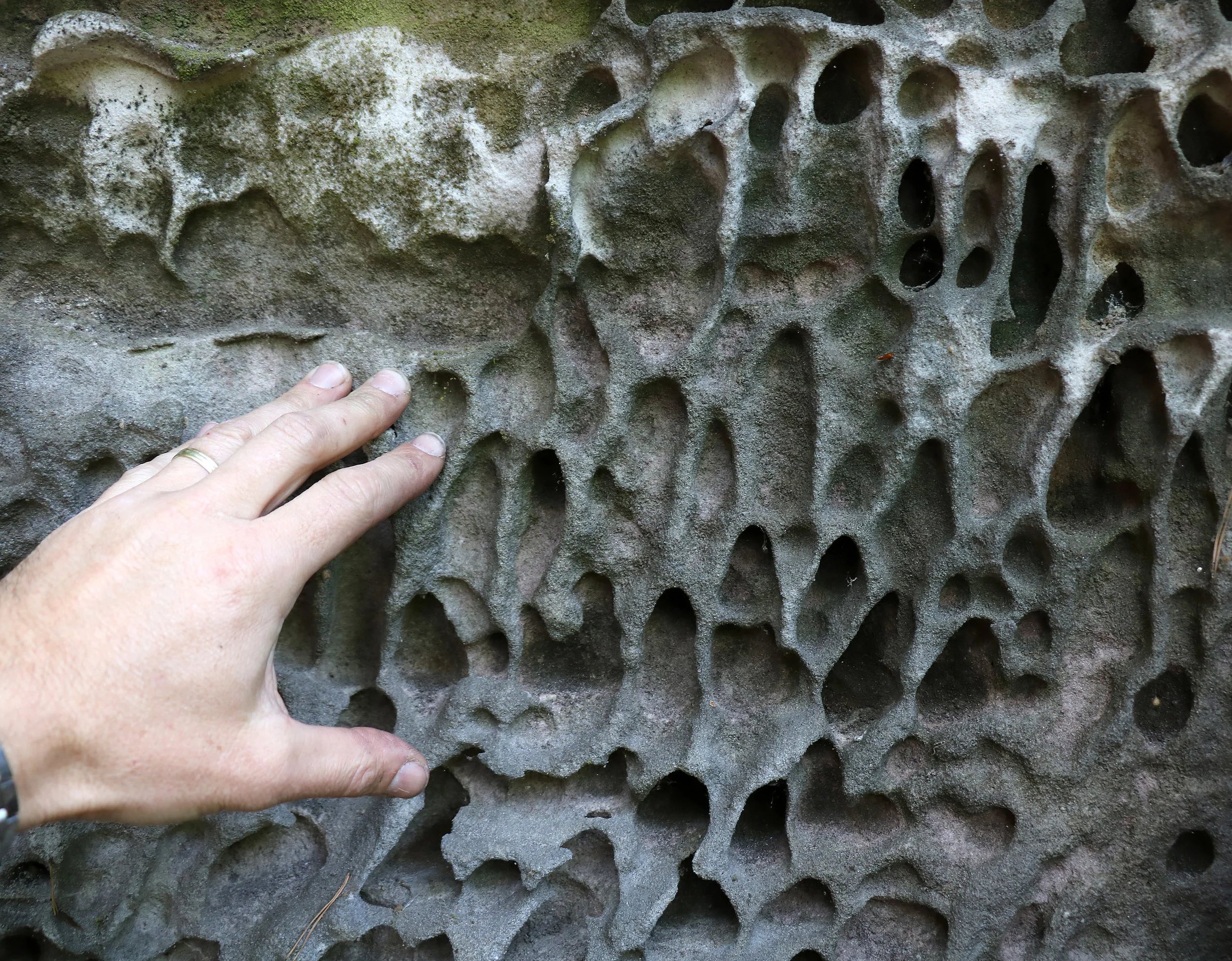 Evaporation key to rock honeycombs