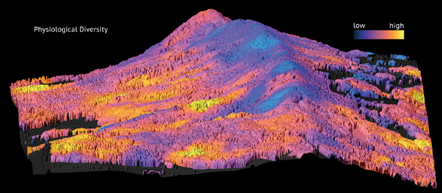 Surveying forests from afar