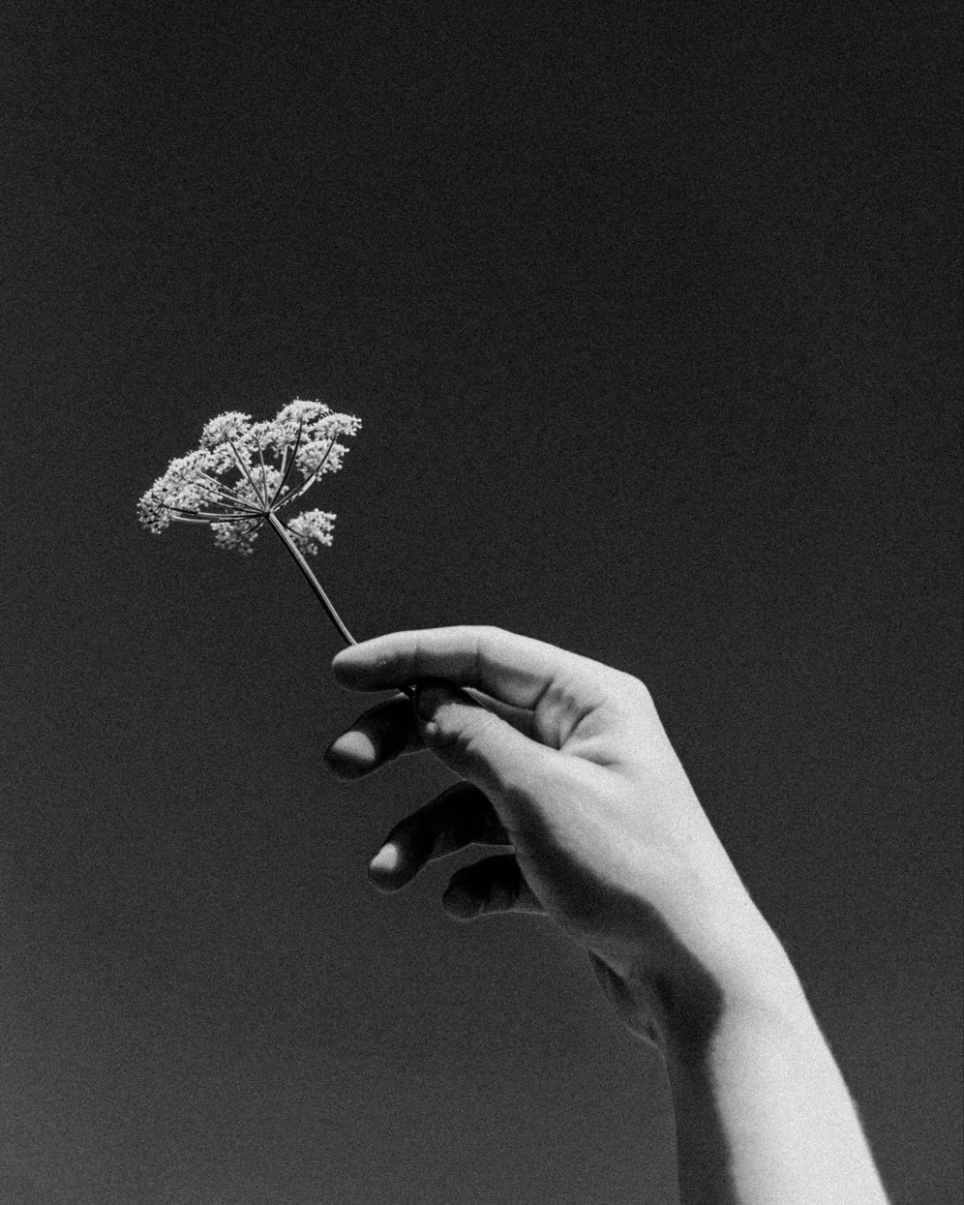 @dadaplourde {photograph}