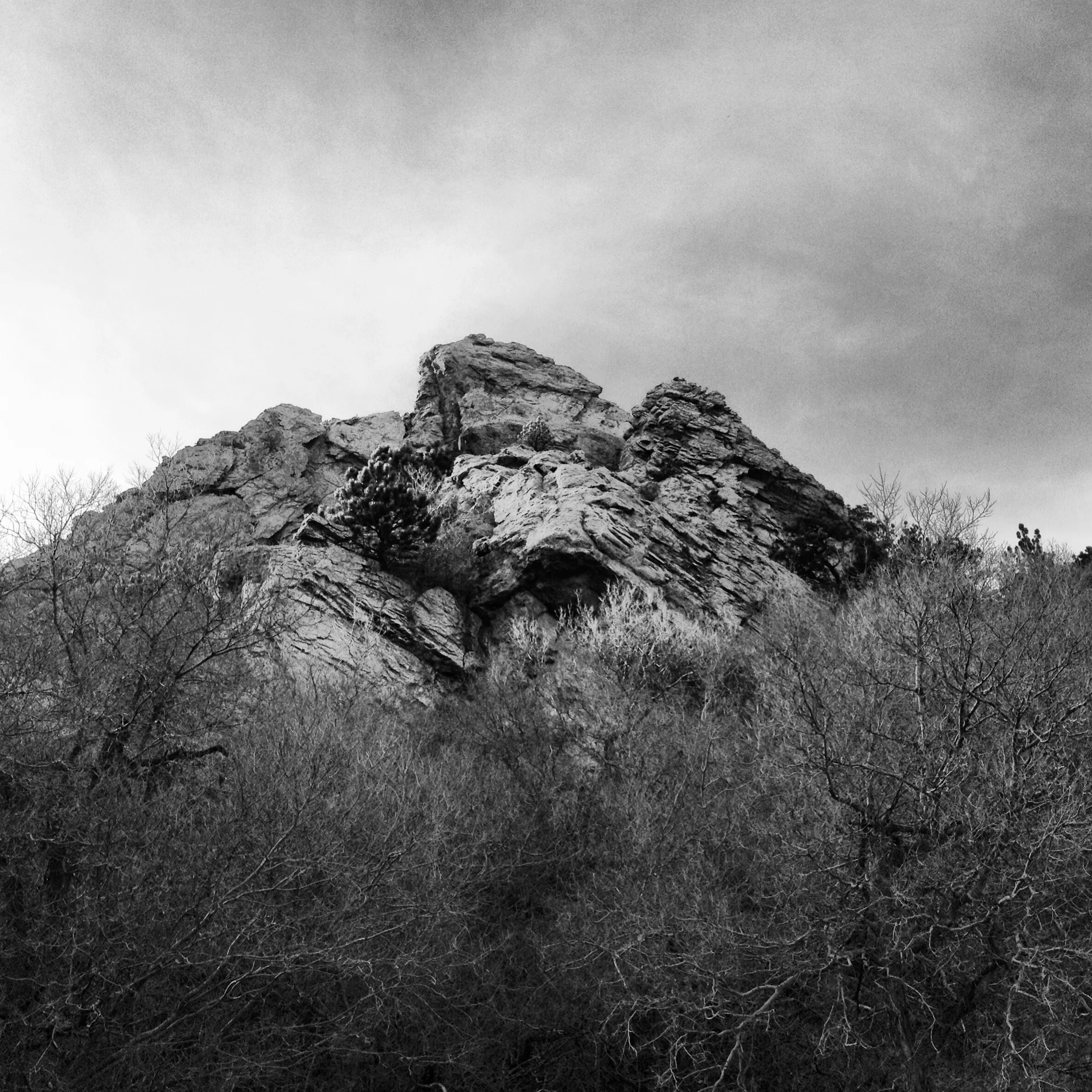 IMG_2545.JPG