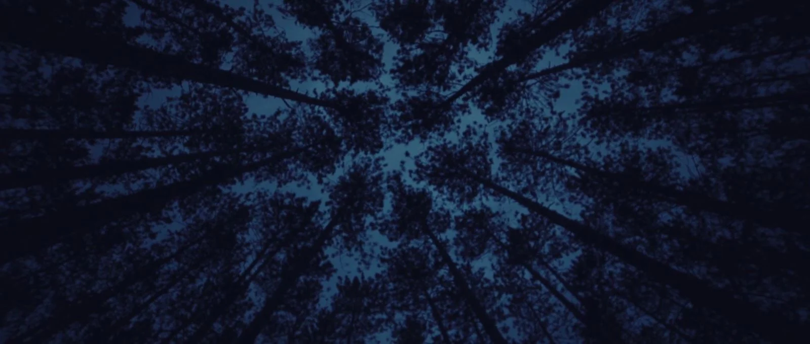 New Age Narcissism // An In-Depth Update