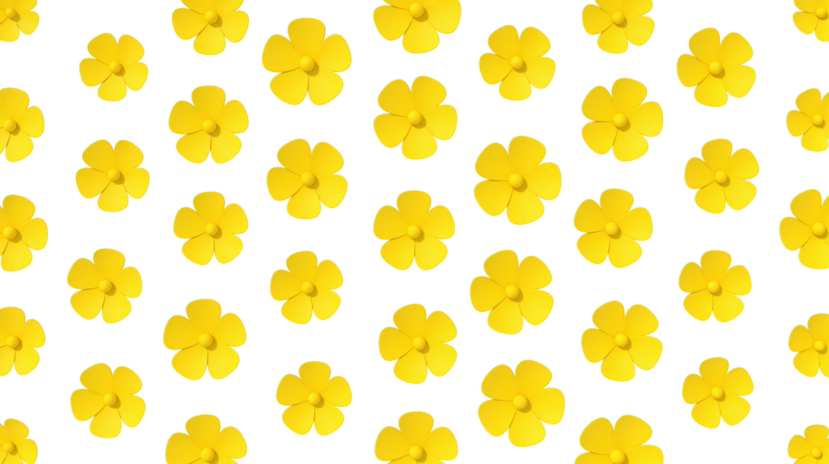 CNN Colorscope (Yellow) // Sebastian Bap