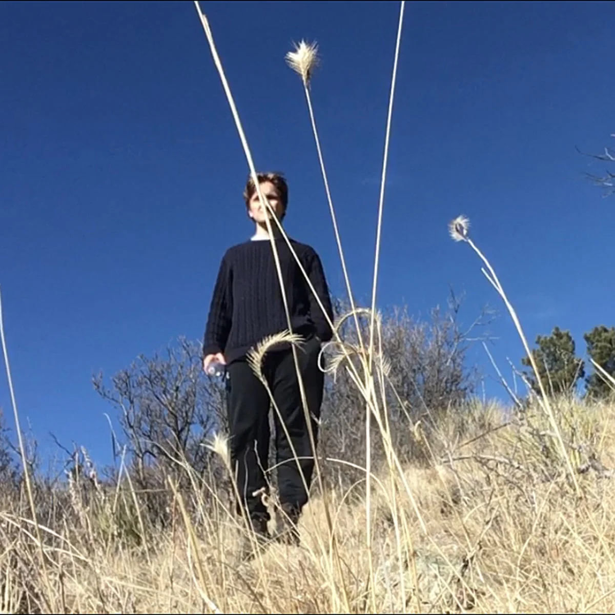 Eight Songs from Combat Naps
