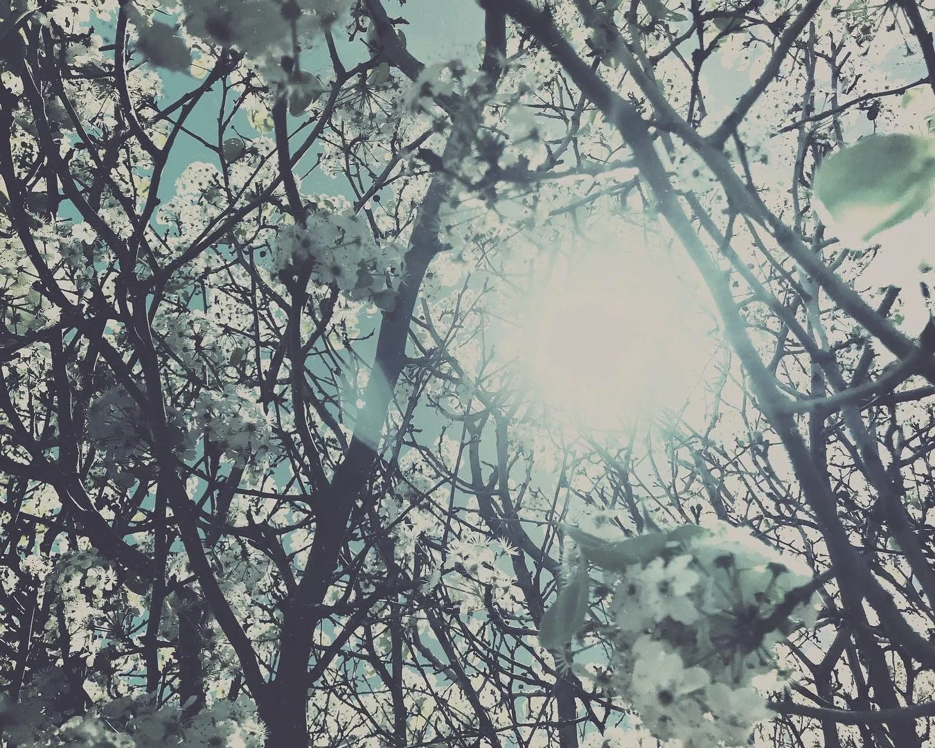Premiere // Reflections with Cesium Swimsuit & Above