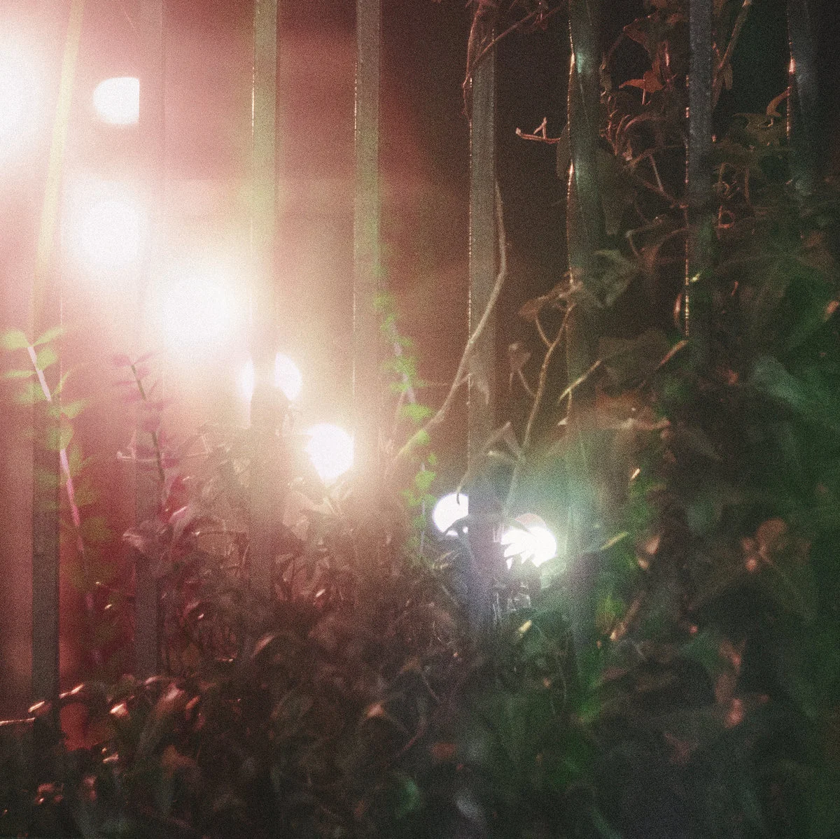 Petrichor Void // Catching up with Yuutsu