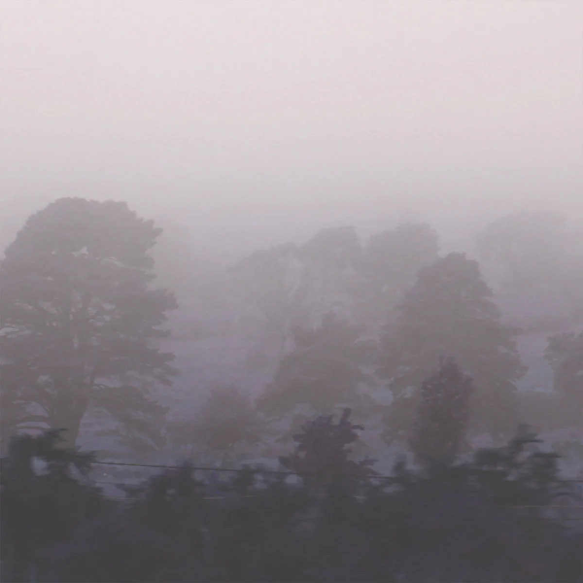 sun rain.jpg