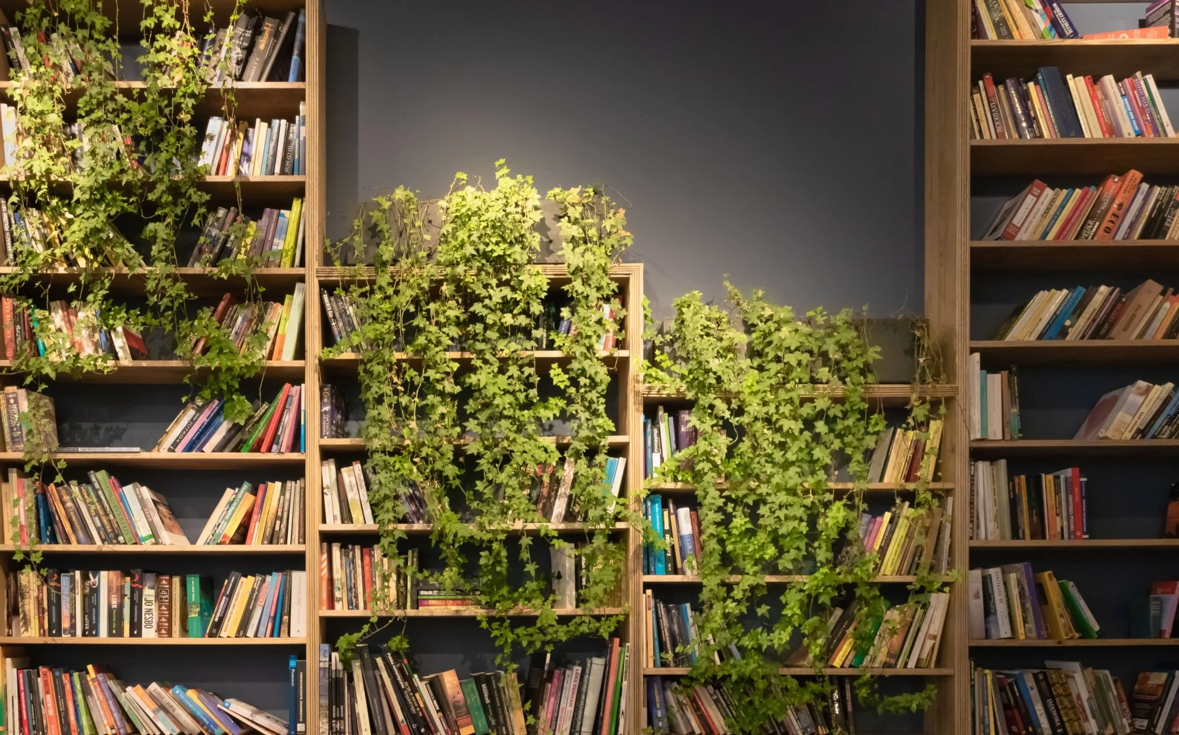 Favorite Authors (and Their Books) That I Read in 2021