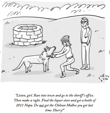 20160125 wine dog.PNG