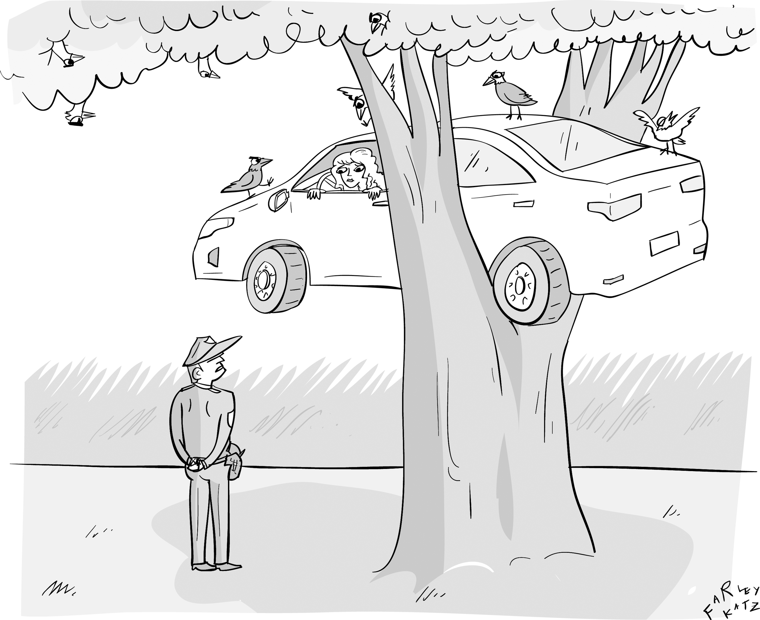 20140804 I'm sorry, I can't help you—you're subject to bird law now.png