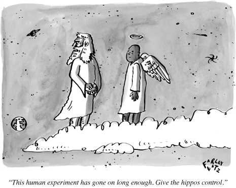 100628_cartoon_060_a14992_p465.gif