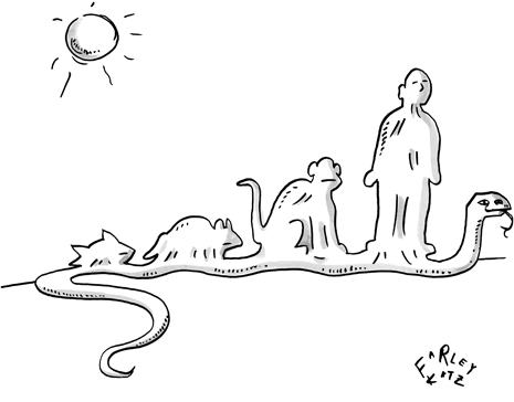 090413_cartoon_2_a13938_p465.gif