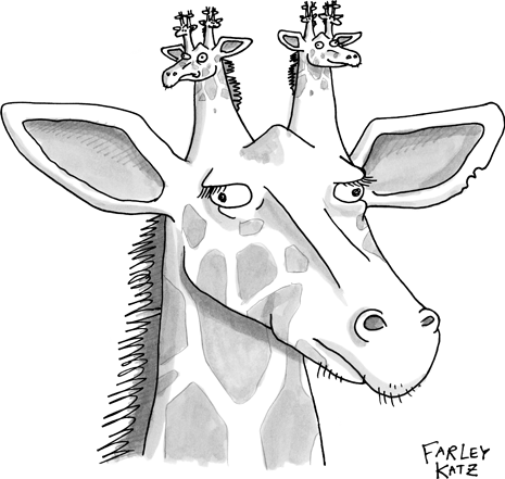 080811_cartoon_6_a13502_p465.gif