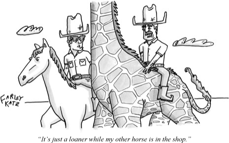 080121_cartoon_6_a13052_p465.gif
