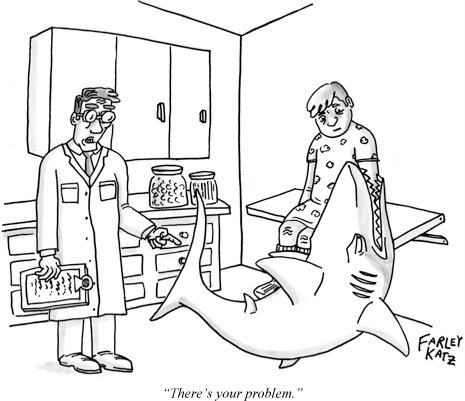 080204_cartoon_5_a12951_p465.gif
