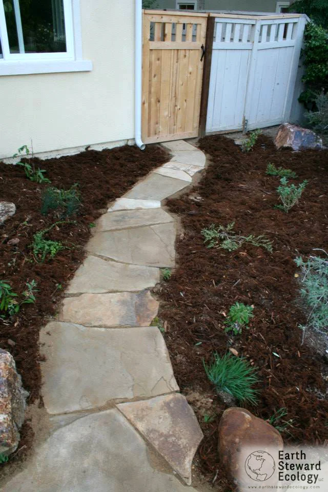 flagstone was arranged here to create a permeable pathway leading to the side gate // mulch was added to the surrounding areas for water retention.