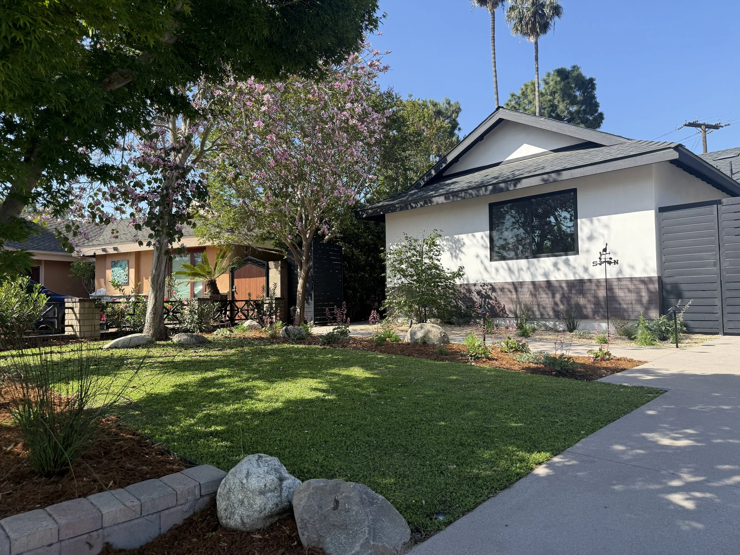 You can have your lawn and your natives too. Kurapia (a drought-tolerant lawn-alternative) & California natives give this home remodel a new edge.