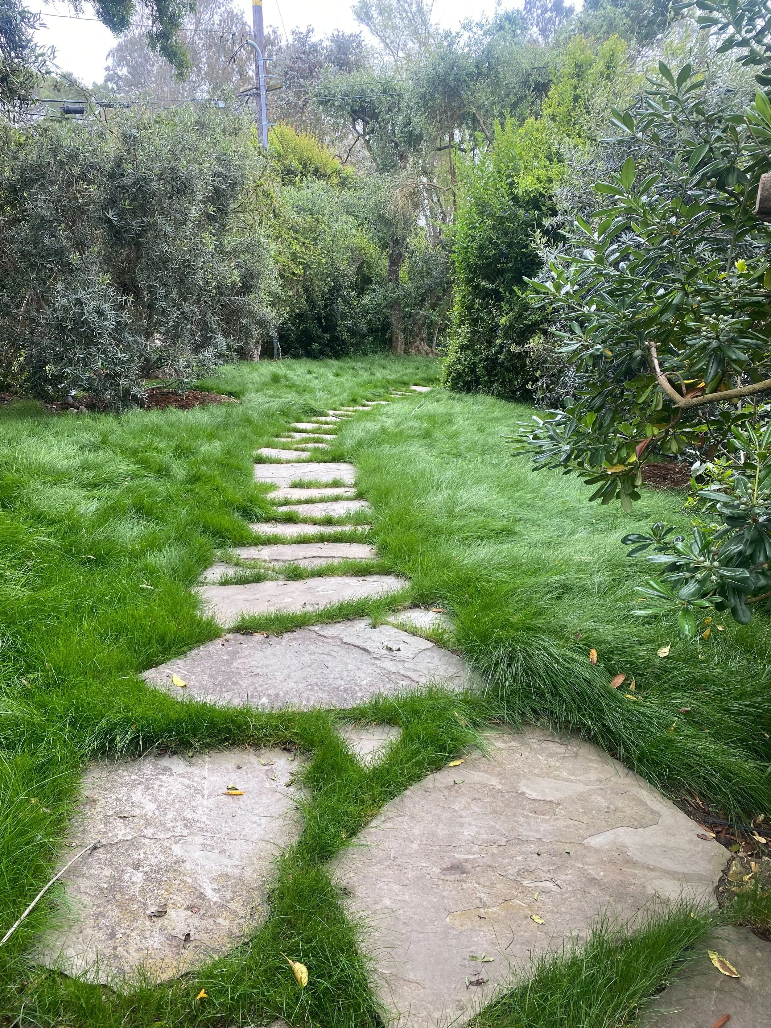 Flagstone steppers leading you through a California-native grass meadow