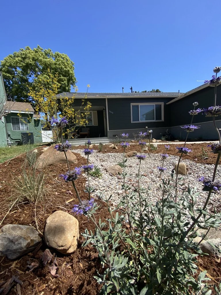  On top of the benefits, earth grading diversifies the plant palette implementable in a space! 