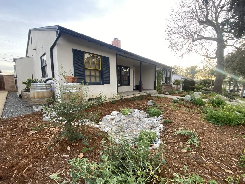  Two rain barrels catch rainwater from a downspout, sending overflow to a nearby rain garden 