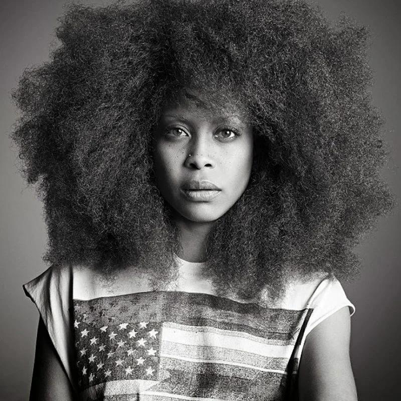 Same Ol' USA: Erykah Badu's 'New Amerykah,' Ten Years On