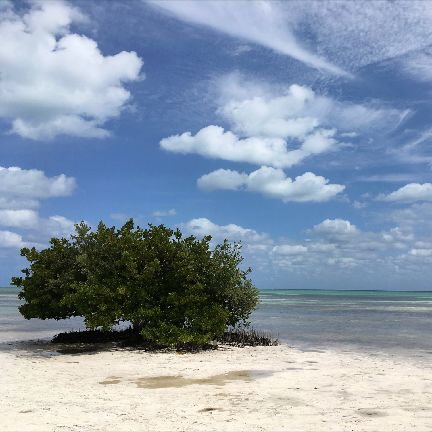 One Good Thing of 2025 for Welcome To Hell World