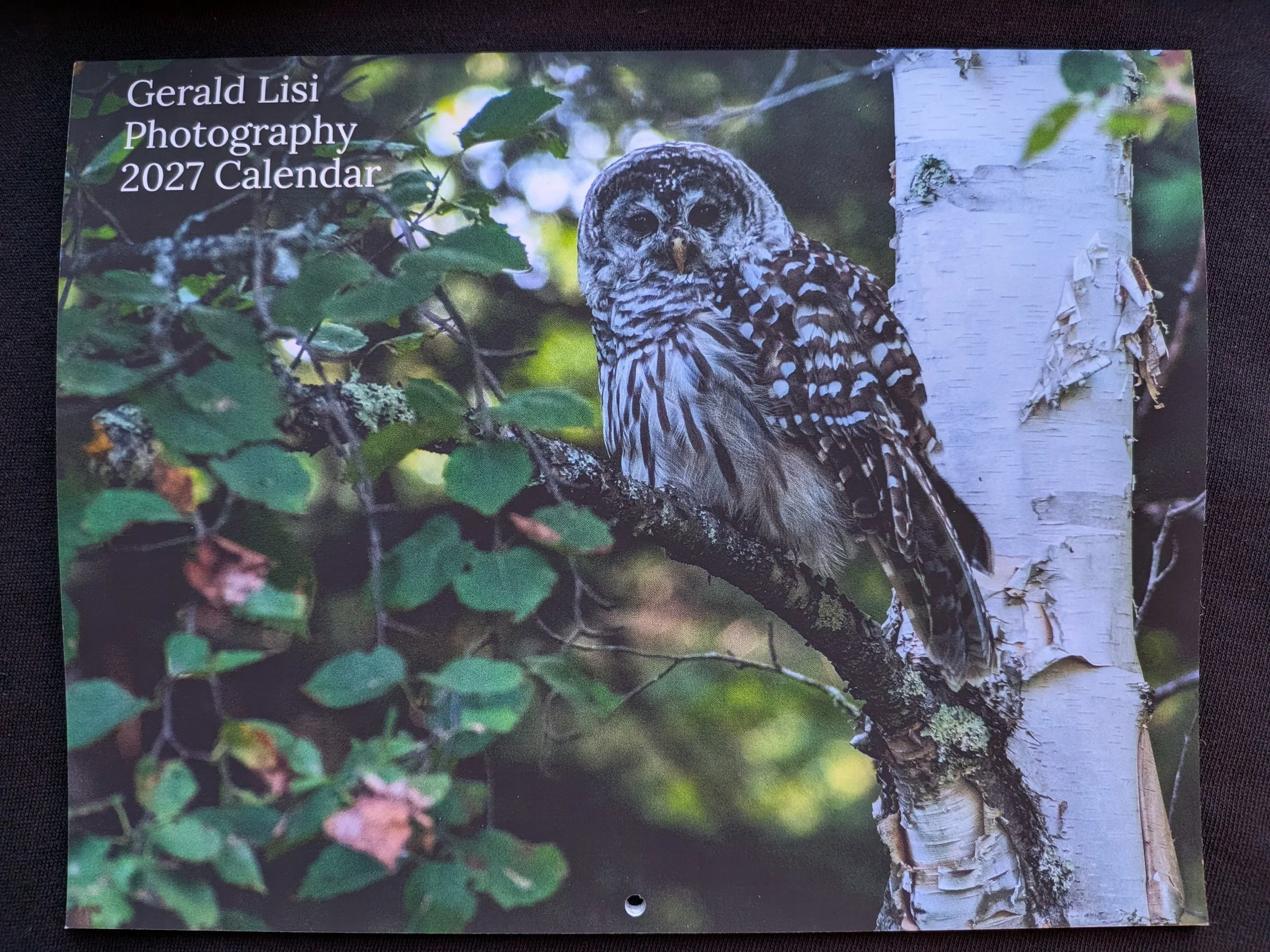 2027calendar.jpg