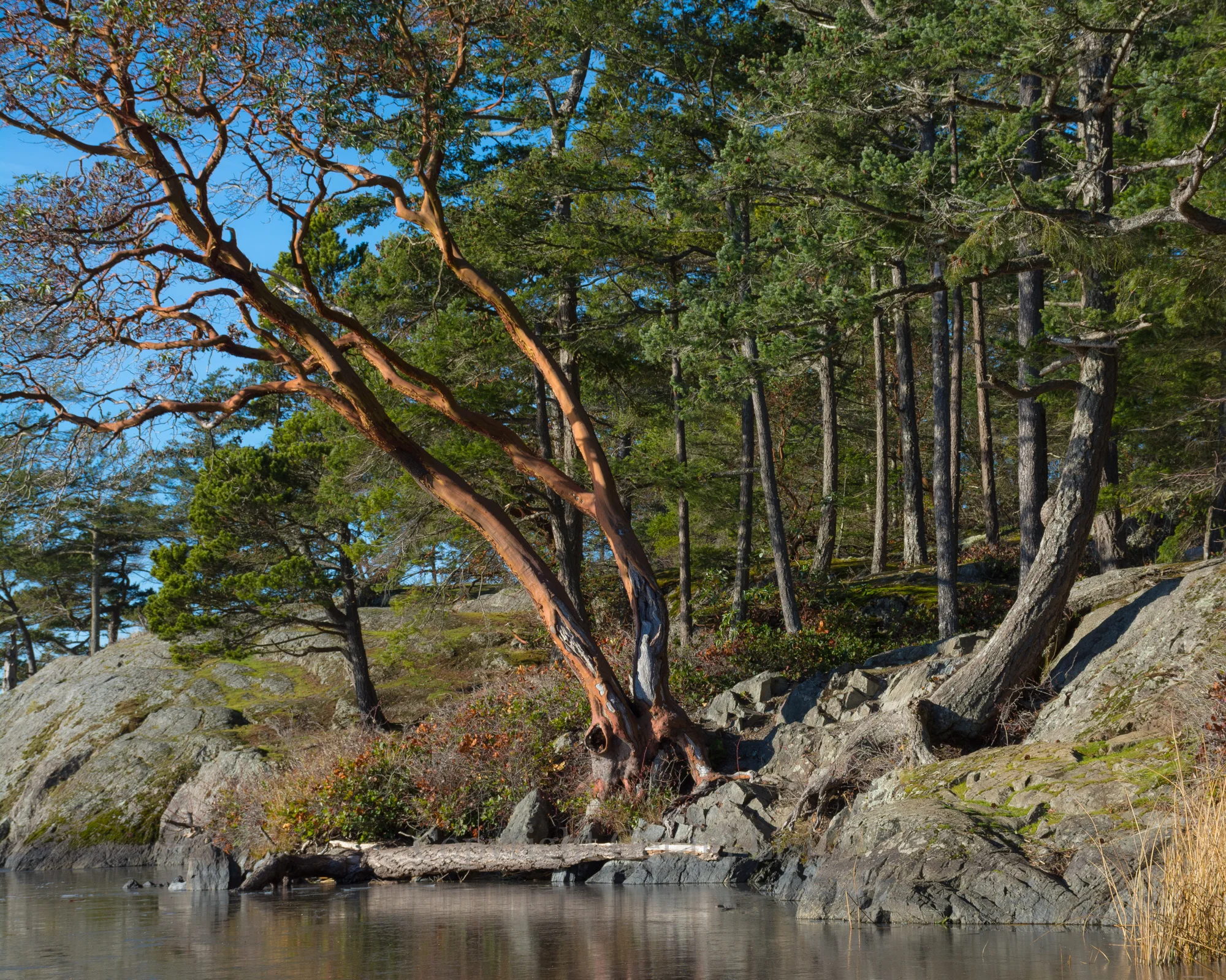 Winter Camping at Deception Pass, Day One