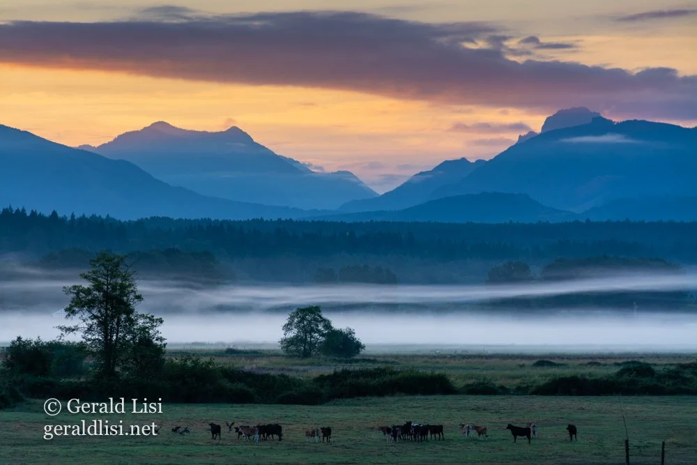 sunrise from the barn.jpg