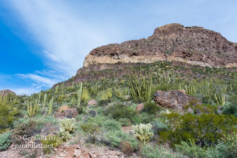 opcnm landscape-44.jpg