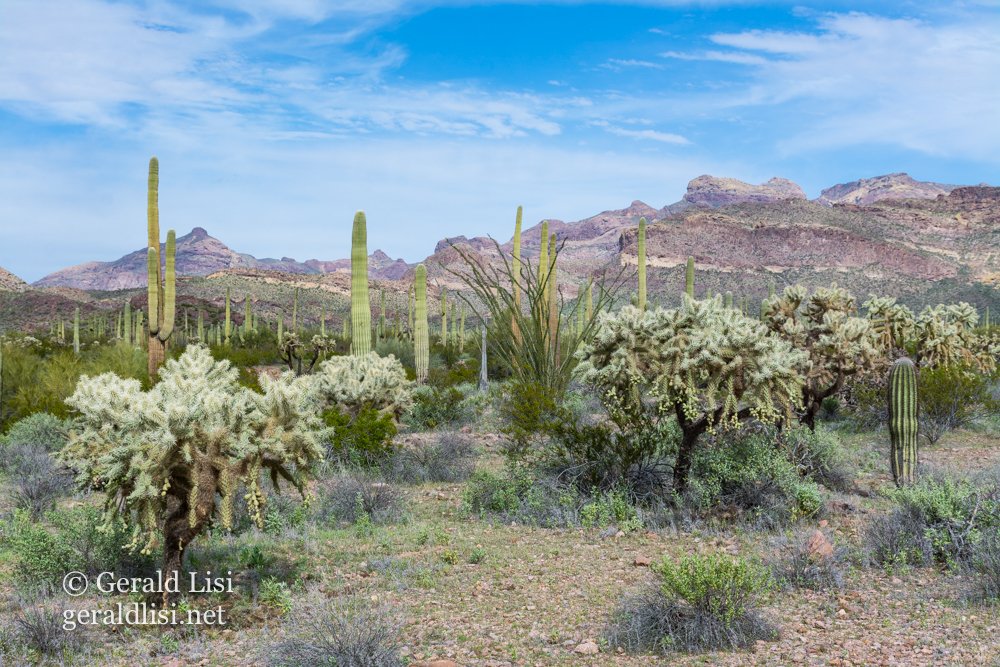 opcnm landscape-42.jpg